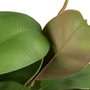 BigBuy Home Plante décorative 134 cm Vert PVC Chêne