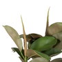 BigBuy Home Plante décorative 134 cm Vert PVC Chêne