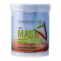 Salerm WHEAT GERM Masque capillaire 1000 ml