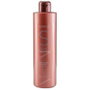 Risfort Shampooing Silver 500 ml