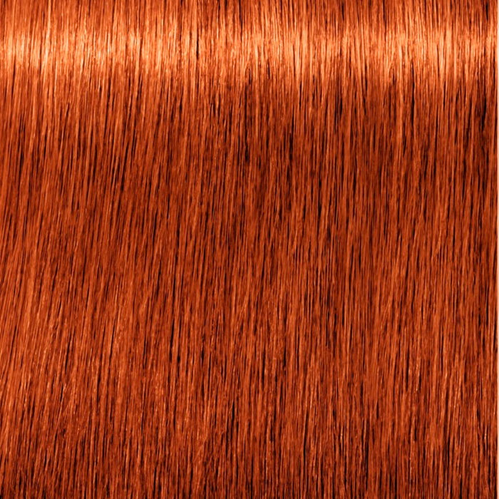 Schwarzkopf IGORA ROYAL 7-77 Crème Colorante Permanente