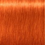 Schwarzkopf IGORA ROYAL 8-77 02/13, Crème Colorante Permanente, 60 ml
