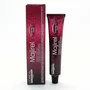 L'Oréal Professionnel Majirel 2.10 Brown Ash Intense