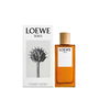Loewe Solo Eau de Toilette Vaporisateur 100 ml Homme Aromatique Épicée et Boisée