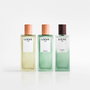 Loewe AIRE Eau de Toilette 100 ml