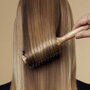 Hair Rituel By Sisley La brosse à brushing #1