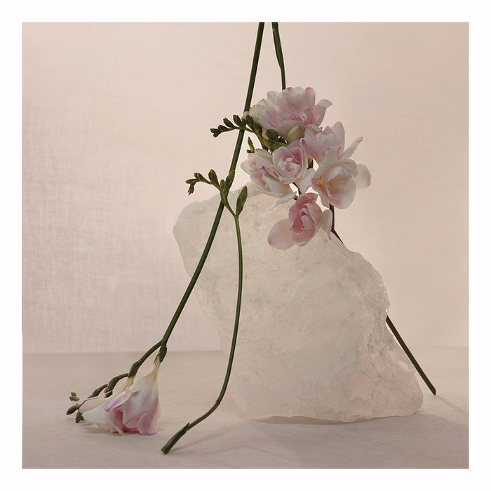 Adolfo Dominguez NUDE MUSK Eau de Parfum Vaporisateur Femme 120 ml Floral Boisé Adolfo Dominguez NUDE MUSK Eau de Parfum Vaporisateur Femme 120 ml Floral Boisé