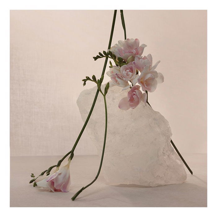 Adolfo Dominguez NUDE MUSK Eau de Parfum Vaporisateur Femme 60 ml