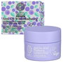 Natura Siberica ANTI-OX WILD BLUEBERRY Masque Crème de Nuit Myrtille 50ml