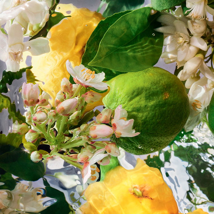 Guerlain Aqua Allegoria Bergamote Calabria Eau de Toilette Vaporisateur 75 ml Hespéridé