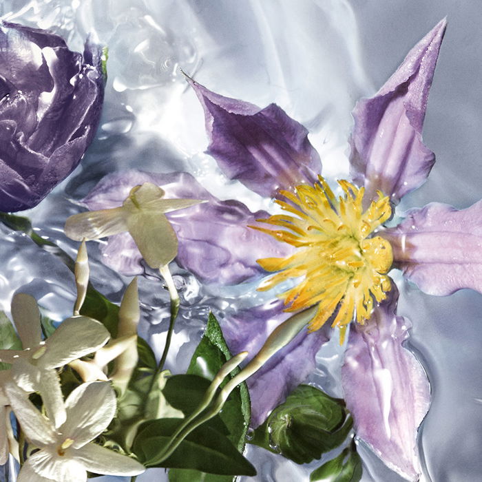 Guerlain AQUA ALLEGORIA FLORA SALVAGGIA Eau de Toilette Vaporisateur 125 ml Guerlain AQUA ALLEGORIA FLORA SALVAGGIA Eau de Toilette Vaporisateur 125 ml