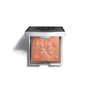 Sisley Palette L'Orchidée Rose 15 g