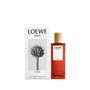 Loewe Solo Cedro Eau de Toilette 50 ml