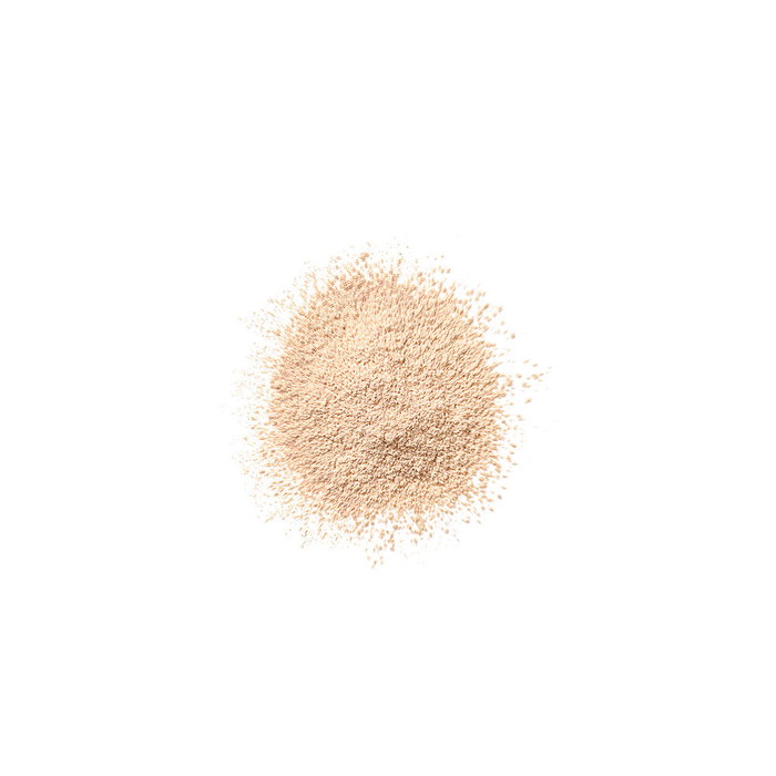 Clinique Poudre visage BLENDED 03-transparence
