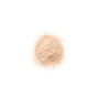 Clinique Poudre visage BLENDED 03-transparence