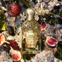 Guerlain Aqua Allegoria Nerolia Vetiver Eau de Parfum 125 ml