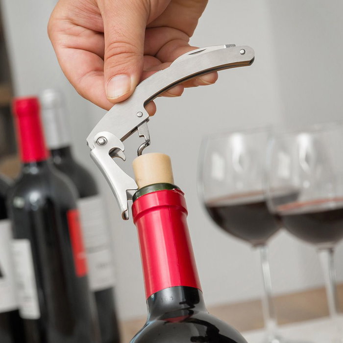 Innovagoods V0100451 Coffret à Vin en Forme de Bouteille avec Accessoires : Dosateur, Tire-bouchon, Bague Anti-goutte, Coupe-fil et Bouchon - ABS, Acier Inoxydable et Zinc