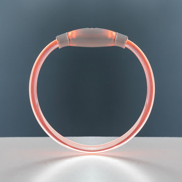 Collier à LED pour Animaux Petlux InnovaGoods