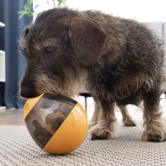 Jouet Distributeur de Friandises pour Animaux2 en 1 Petyt InnovaGoods