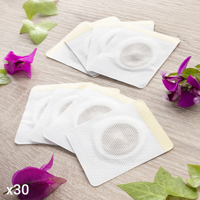 Set de Patchs Magnétiques Amincissants aux Extraits de Plantes Patmic InnovaGoods 30 Unités Set de Patchs Magnétiques Amincissants aux Extraits de Plantes Patmic InnovaGoods 30 Unités
