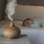 Cecotec Pure Aroma 150 Humidificateur Marron