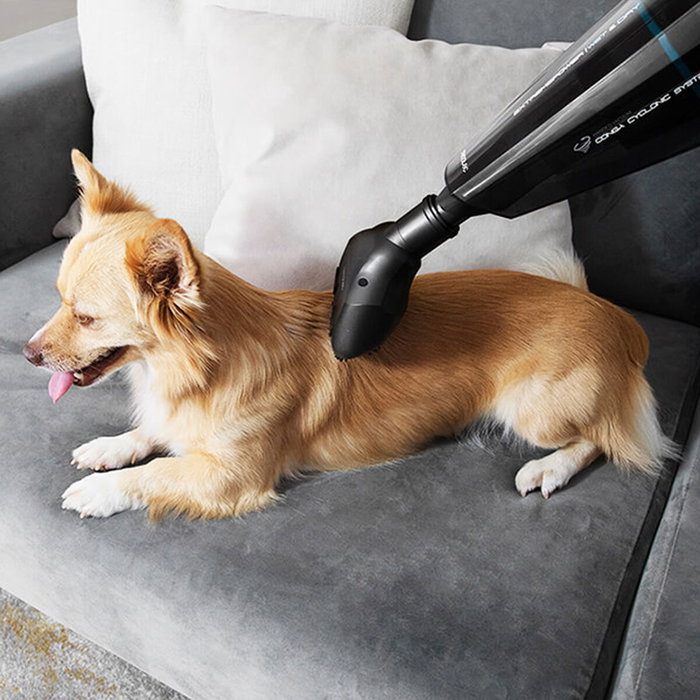 Aspirateur Manuel Cyclonique Cecotec Conga Immortal ExtremeSuction Animal Hand 0,5 L 22,2 V Noir