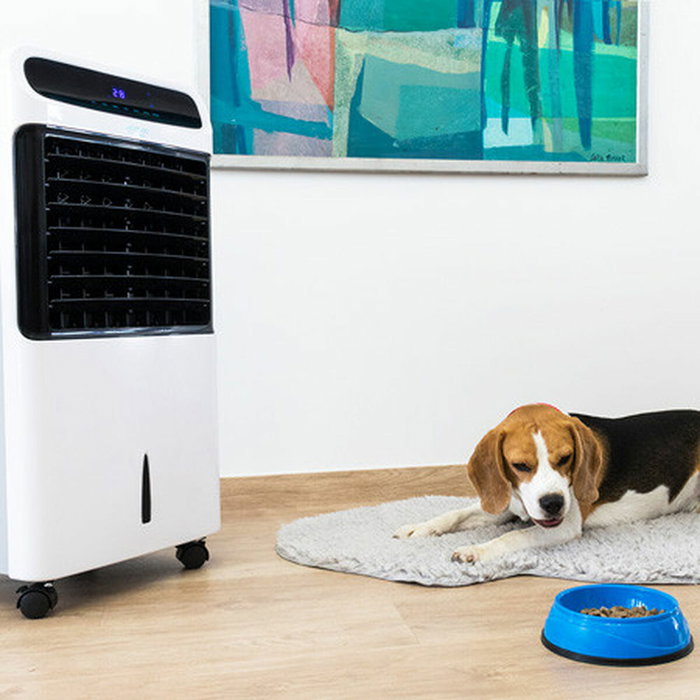 Climatiseur Évaporation Portable Cecotec EnergySilence PureTech 6500 500 m3/h 12 L Blanc Climatiseur Évaporation Portable Cecotec EnergySilence PureTech 6500 500 m3/h 12 L Blanc
