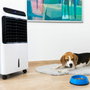 Climatiseur Évaporation Portable Cecotec EnergySilence PureTech 6500 500 m3/h 12 L Blanc