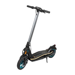 Trottinette Électrique Cecotec 07304 750 W 350 W 25 km/h Noir