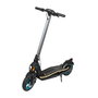 Trottinette Électrique Cecotec 07304 750 W 350 W 25 km/h Noir